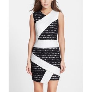 NWT $338 BCBGMAXAZRIA 'Dalia' Stripe Lace Sheath Dress OfWhiteBlack‎ [SZ 6 ]